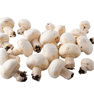 Шампиньоны свежие 500 г - купить в Акташке